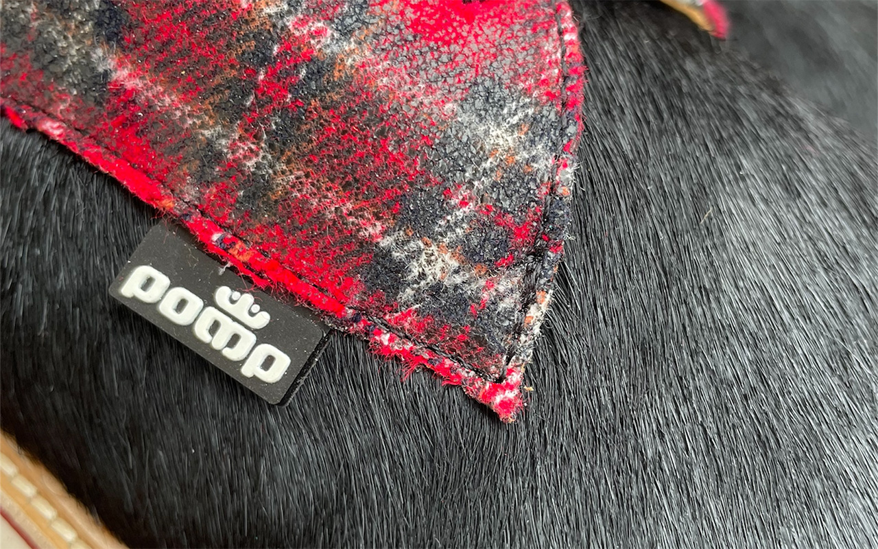 KILT 'Highlander'